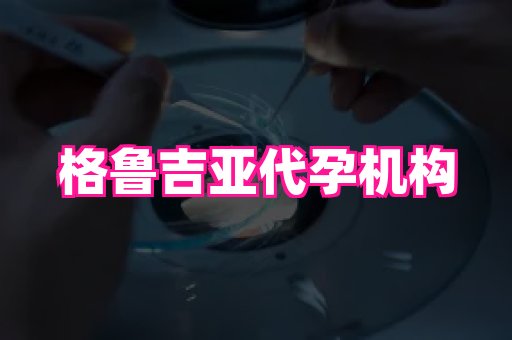 贵州助孕网站 2